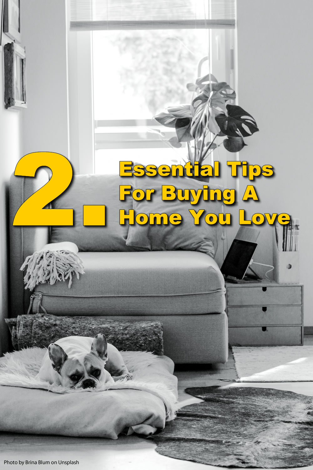 2-Essential Tips-For-Buying-A-Home-You-Love